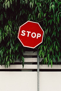 signalisation de stop en métal blanc et rouge, signe, arrêt, feuillage, clôture, Fond d'écran HD HD wallpaper