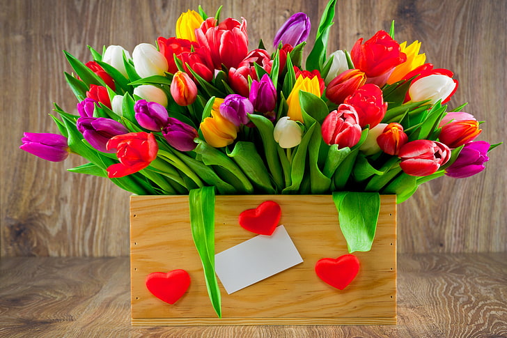 rote und lila Blumen, Blumenstrauß, bunt, Tulpen, Liebe, frisch, Holz, Blumen, romantisch, Herzen, Geschenk, HD-Hintergrundbild