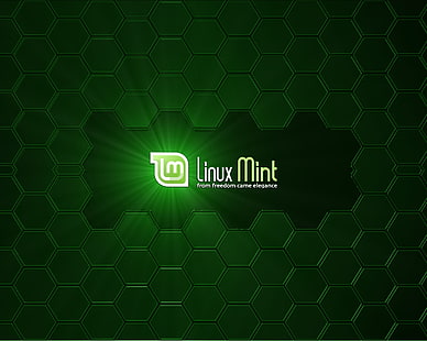 linux mint linux mint Технология Linux HD Art, linux, Mint, linux mint, HD тапет HD wallpaper