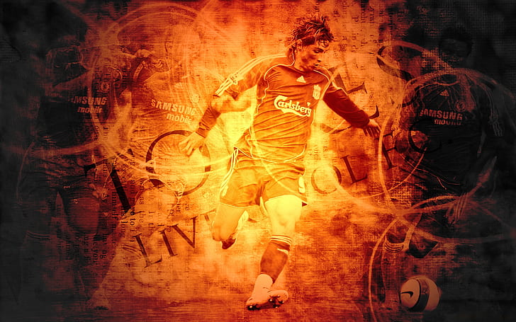 Fernando Torres, Liverpool, Football, HD wallpaper