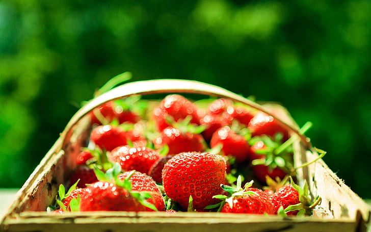 Red strawberry, fresh fruit, basket, light, Red, Strawberry, Fresh, Fruit, Basket, Light, HD wallpaper