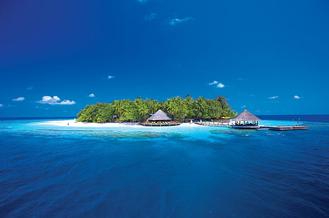 Island with Bungalows, resort island, Ocean, pier, palm trees, island, bungalows, reef, HD wallpaper HD wallpaper