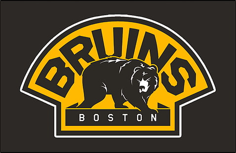 Hóquei, Boston Bruins, HD papel de parede HD wallpaper