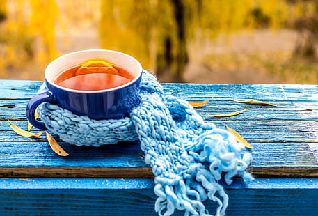 Taza bufanda de té, taza de cerámica azul llena de líquido naranja;bufanda de punto azul, hojas, otoño, taza, arce, té, bufanda, otoño, Fondo de pantalla HD HD wallpaper