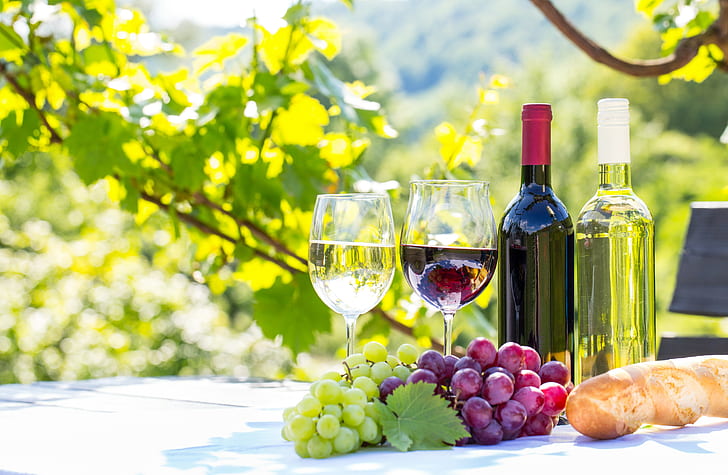 wino, napoje, winogrona, winorośl, szklanki, Tapety HD