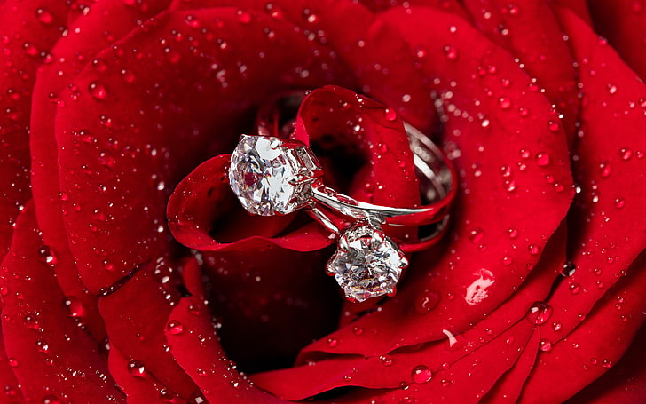 Red rose water drop diamond ring closeup, HD wallpaper