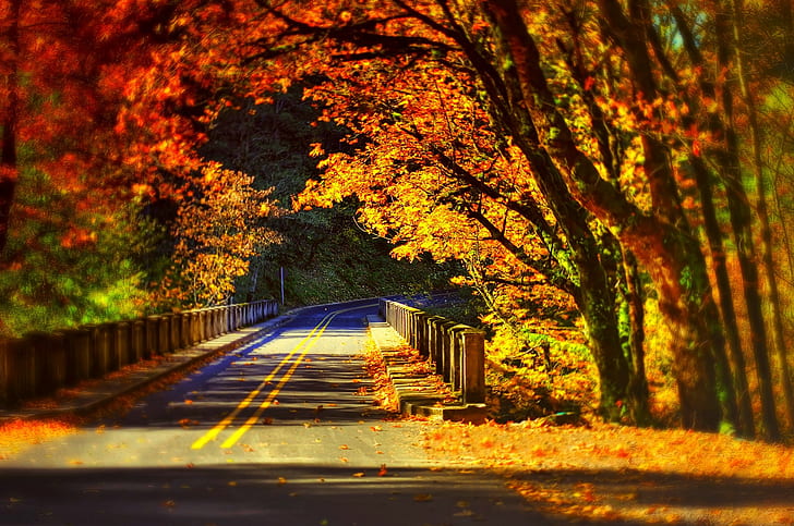 สะพานถนนในธรรมชาติที่มีสีสัน, ถนน, สะพาน, ธรรมชาติ, วอลล์เปเปอร์ HD