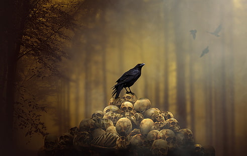 rave perched on pile of human skull illustration, raven, spooky, animals, skull, HD wallpaper HD wallpaper
