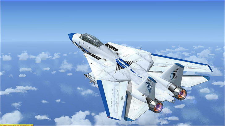 F-14 Tomcat Fsx, militer, f-22, burn, pesawat terbang, Wallpaper HD