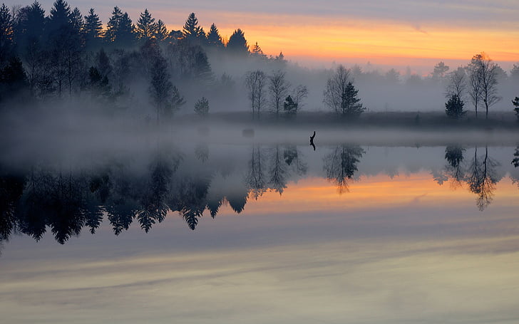 fog, forest, lake, mist, morning, pond, reflection, shore, sky, smooth, sunrise, surface, trees, HD wallpaper