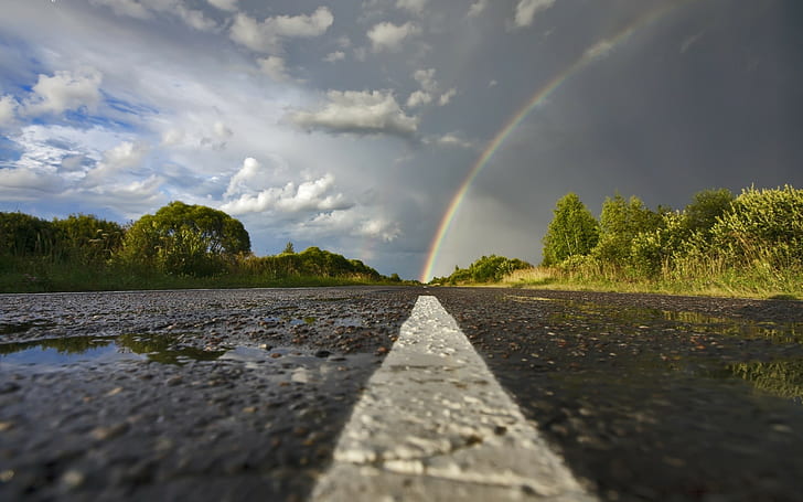 road, trees, rainbows, clouds, worms eye view, wet, water, HD wallpaper