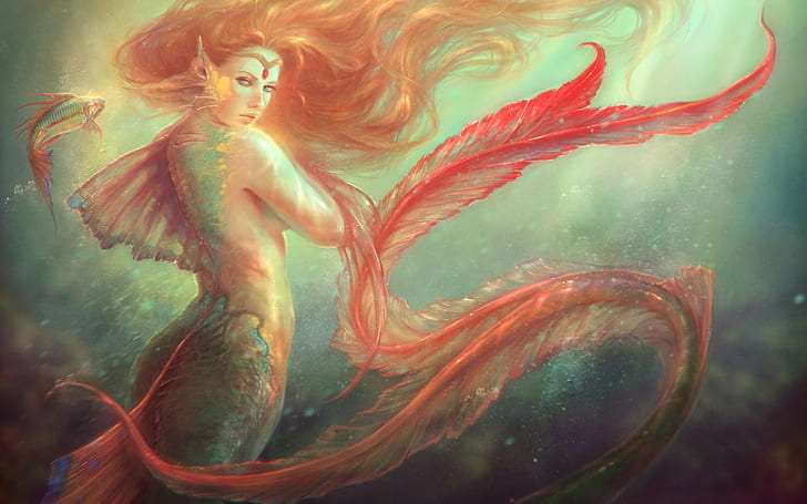 Mermaid, Fish, Mermaid, Fish, Red hair, tail, fins, scales, HD wallpaper