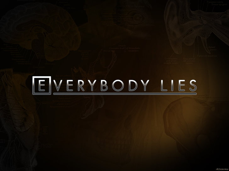 Everbody Lies illustration, TV Show, House, HD wallpaper
