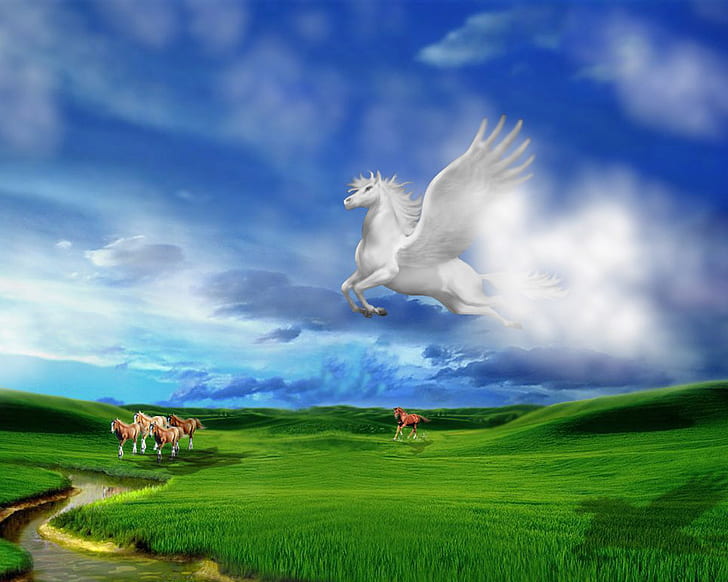 Pegasus HD, fantasia, pegasus, HD papel de parede