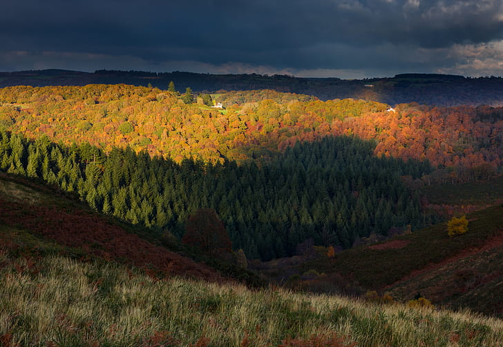 есен, гора, небе, дървета, облаци, хълмове, Англия, вечерта, Великобритания, Национален парк, Дартмур, HD тапет