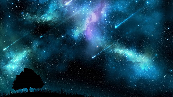 shooting stars, universe, outer space, galaxy, stars, starsdust, meteor, shooting star, darkness, night, falling star, falling stars, lone tree, starry night, HD wallpaper