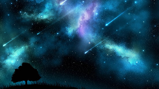 estrelas cadentes, universo, espaço sideral, galáxia, estrelas, poeira estelar, meteoro, estrela cadente, trevas, noite, estrela cadente, estrelas cadentes, árvore solitária, noite estrelada, HD papel de parede HD wallpaper