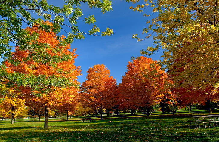 пейзажи природа деревья осень столы скамейка живописные парки небоскребы природа сезоны HD арт, природа, осень, деревья, скамейка, пейзажи, столы, HD обои