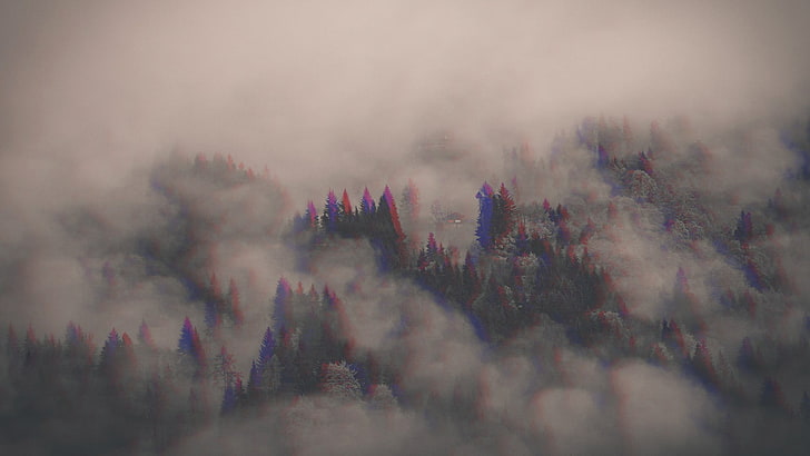 лесные деревья, 3D, анаглиф 3D, лес, деревья, облака, HD обои