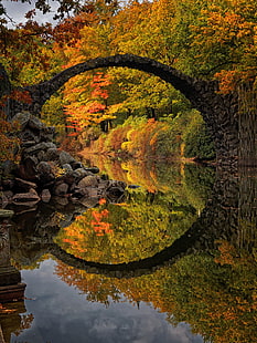 bridge, river, reflection, landscape, fall, colorful, Germany, Rakotzbrücke Devil's Bridge, Germany, HD wallpaper HD wallpaper