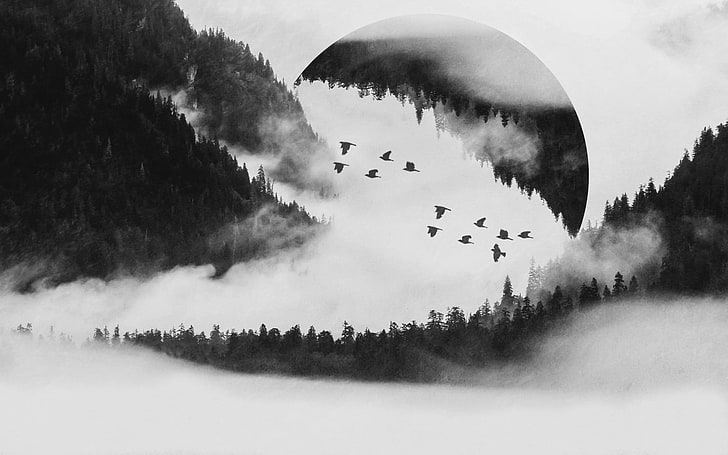 foto grayscale dari foto burung terbang, hutan, pohon, burung, manipulasi foto, Wallpaper HD