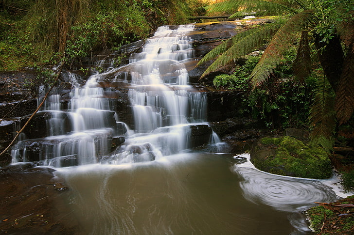 waterfall, stream, forest, trees, australia, great otway national park, Nature, HD wallpaper