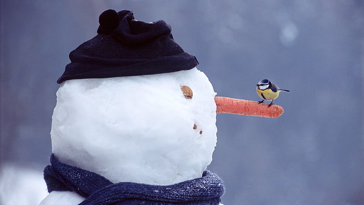 snowman with bird, winter, snow, snowmen, birds, nature, hat, scarf, carrots, simple background, nuts, titmouse, snowman, photography, HD wallpaper