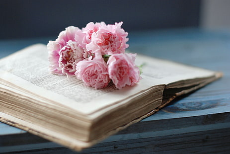 pink carnation flower and book, flowers, book, pink, page, old, clove, HD wallpaper HD wallpaper