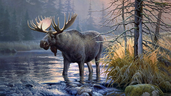elk, animals, moose, HD wallpaper HD wallpaper