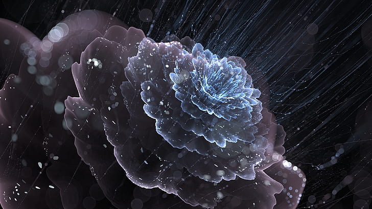 fractale, art numérique, résumé, fleurs fractales, Fond d'écran HD