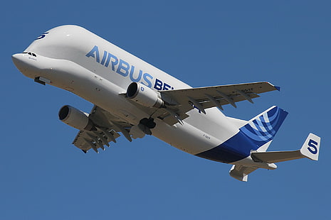 600, airbus, aeronaves, avião comercial, avião, beluga, carga, avião, céu, transporte, HD papel de parede HD wallpaper