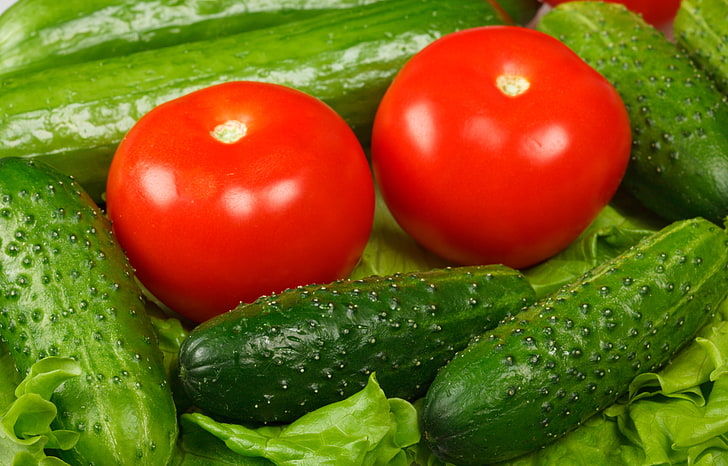 two red tomatoes and cucumbers, cucumbers, vegetables, background, tomatoes, HD wallpaper