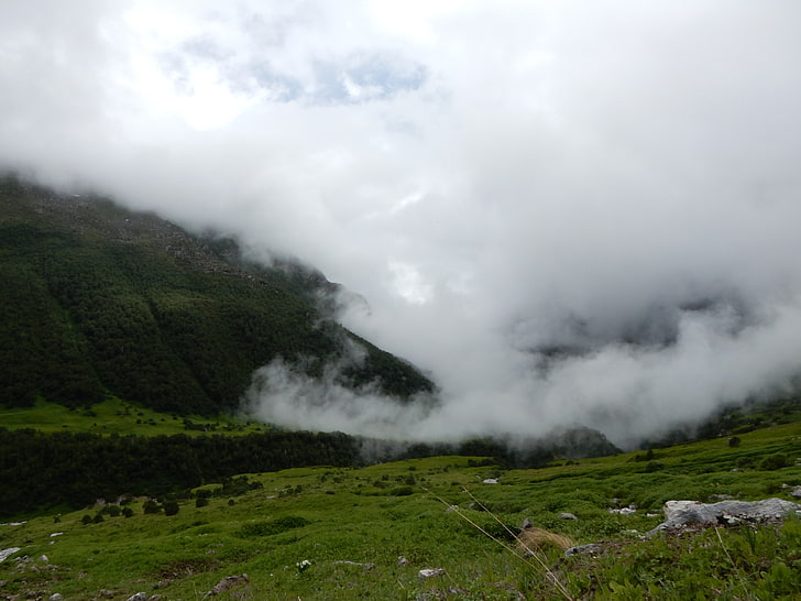 зелено тревно поле, облаци, долина, Хималаи, HD тапет