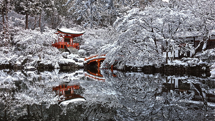заснеженные деревья, Япония, храм, снег, зима, отражение, пруд, Киото, HD обои