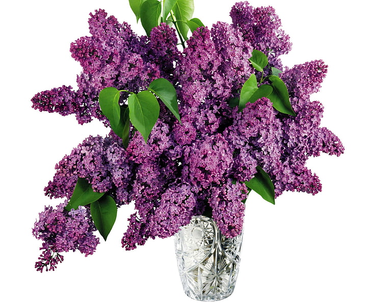 bunga ungu dan potong vas kaca, lilac, buket, vas, kristal, musim semi, Wallpaper HD