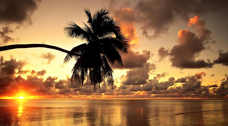 agua, árvores, céu, mar, lago, nuvens, luz solar, nascer do sol, tarde, Havaí, palmeiras, silhueta, HD papel de parede