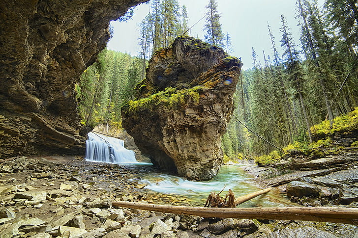 Johnston Canyon, parc national de Banff, rivière, forêt, roche, cascade, montagne, Johnston Canyon, parc de Banff, Alberta, Canada, Fond d'écran HD