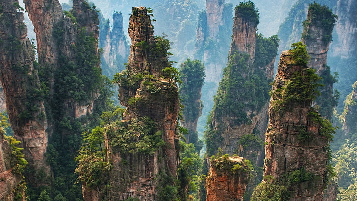 растителност, природа, природен резерват, национален парк, дърво, пустиня, планина, скала, образуване, планински пейзаж, гора, скално образувание, Хунан, Китай, национален горски парк Zhangjiajie, планина Tianzi, HD тапет