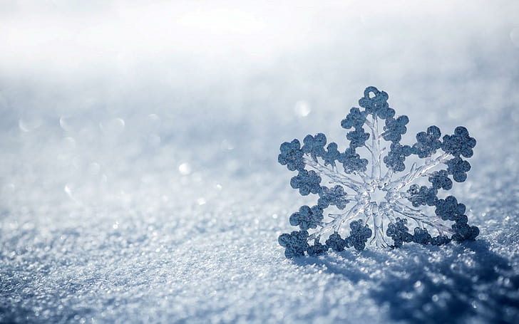 Snowflake, winter, 4K, snow, HD wallpaper | Wallpaperbetter