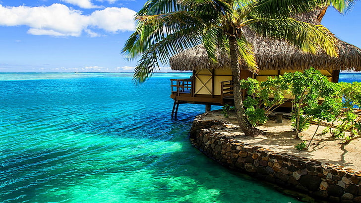 nature, resort, turquoise, island, tropical, sea, travel, beach, water, summer, vacation, ocean, tourism, sky, tree, relaxation, palm, resort hotel, sand, paradise, holiday, hotel, coast, sun, idyllic, coastline, leisure, tranquil, landscape, scene, bay, sunny, shore, seascape, swimming, vacations, luxury, pool, bali, relax, HD wallpaper