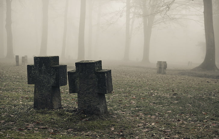 mist, cemetery, HD wallpaper