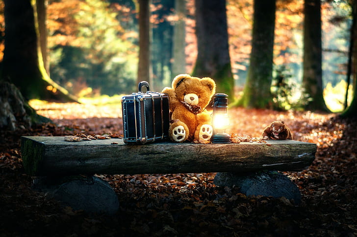 boneka beruang, mainan, pohon, Wallpaper HD