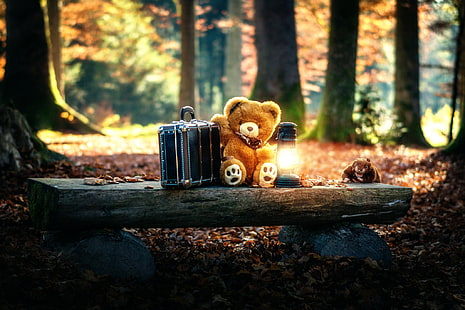 Teddybären, Spielzeug, Bäume, HD-Hintergrundbild HD wallpaper