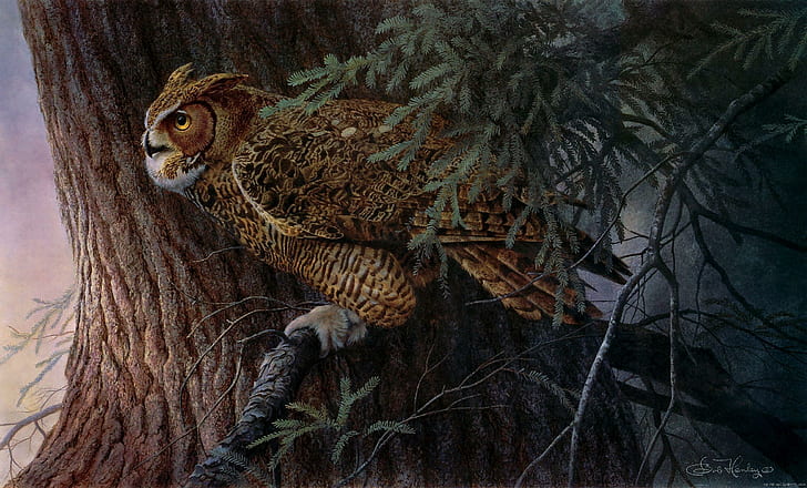 Búho en un árbol, pájaro con plumas marrón y negro, búho, animal, pájaro, noche, Fondo de pantalla HD