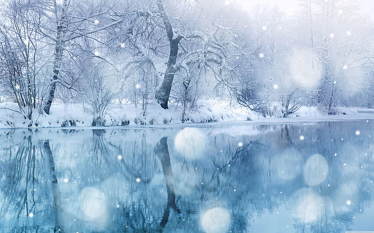 landscapes nature winter snow trees lakes bright reflections 5120x3200  Nature Lakes HD Art , nature, Landscapes, HD wallpaper