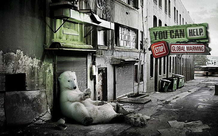Stop Global Warming, polar bear, global, stop, warming, HD wallpaper