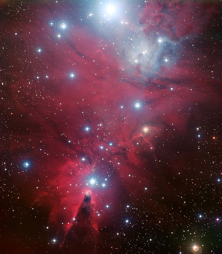 Christmas Tree Cluster, NGC 2264, Cone Nebula, Astronomical, Stars, Galaxy, 4K, 8K, HD wallpaper