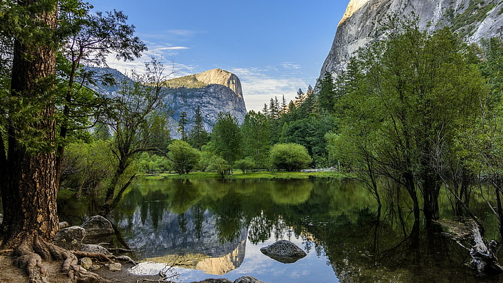 montagne, États-Unis, Californie, parc national de Yosemite, paysage, ciel, lac de montagne, lac, parc national, réflexion, feuilles vertes, vallée, arbre, canyon tenaya, région sauvage, eau, lac miroir, Fond d'écran HD