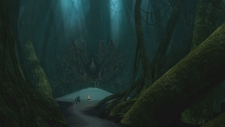 foto av mörk trädskog, Dark Souls, HD tapet