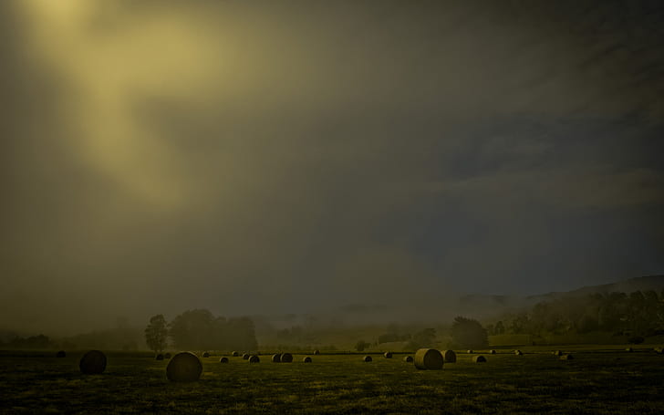Hay Field Fog Mist HD, naturaleza, campo, niebla, niebla, heno, Fondo de pantalla HD